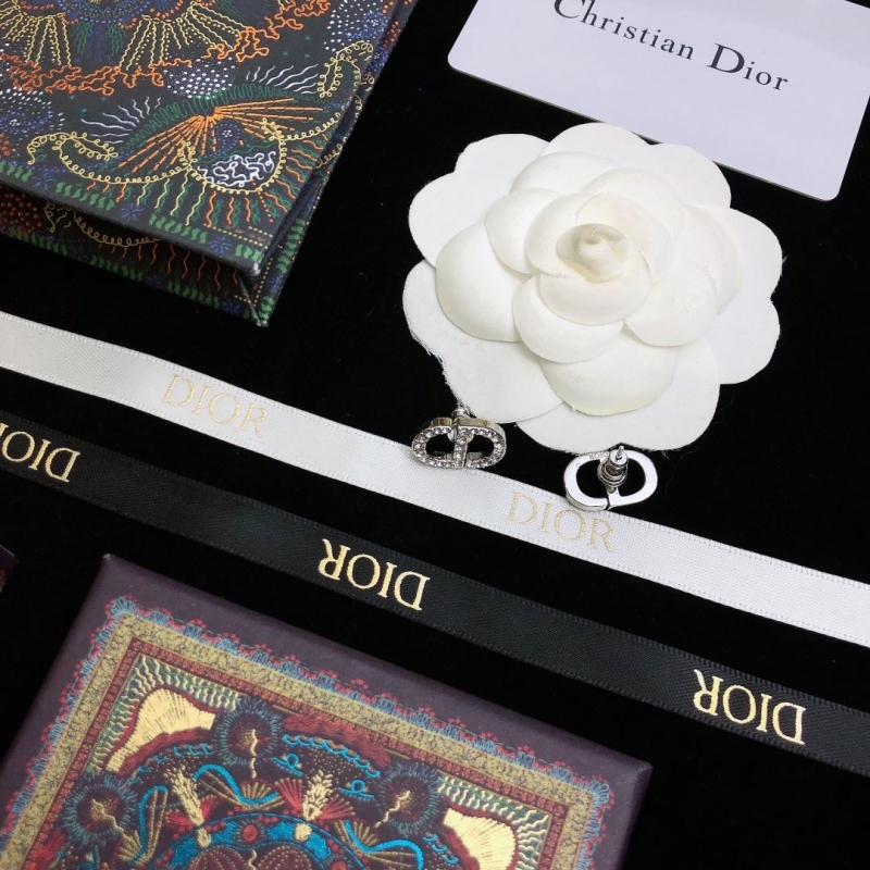 Christian Dior Earrings